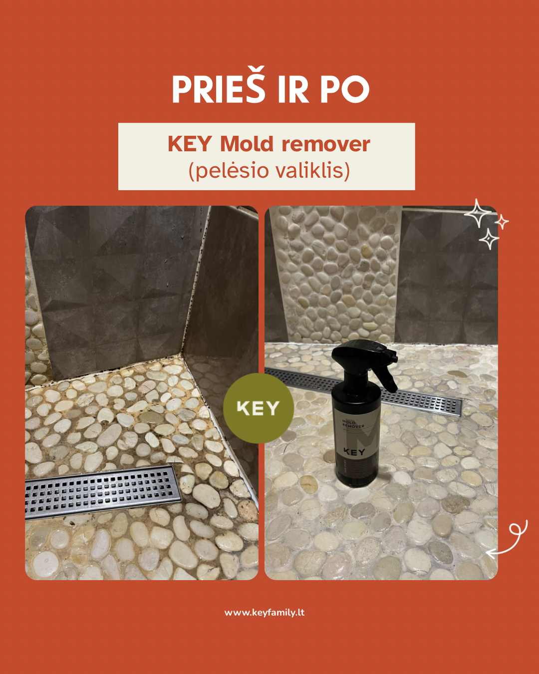 KEY Pelėsio valiklis