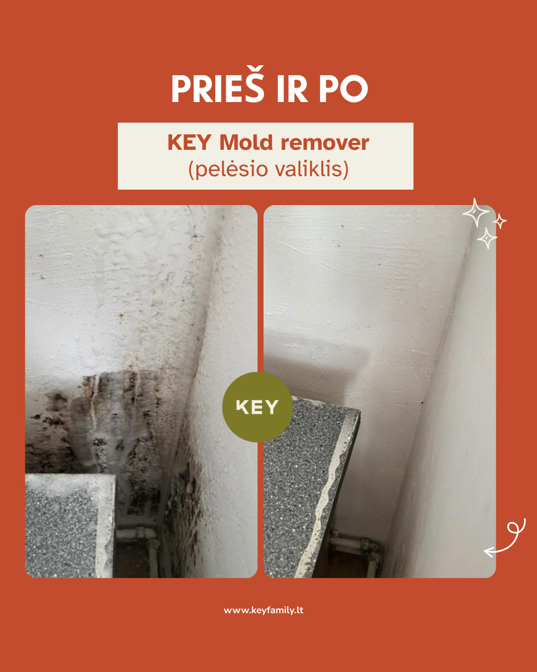 KEY Pelėsio valiklis