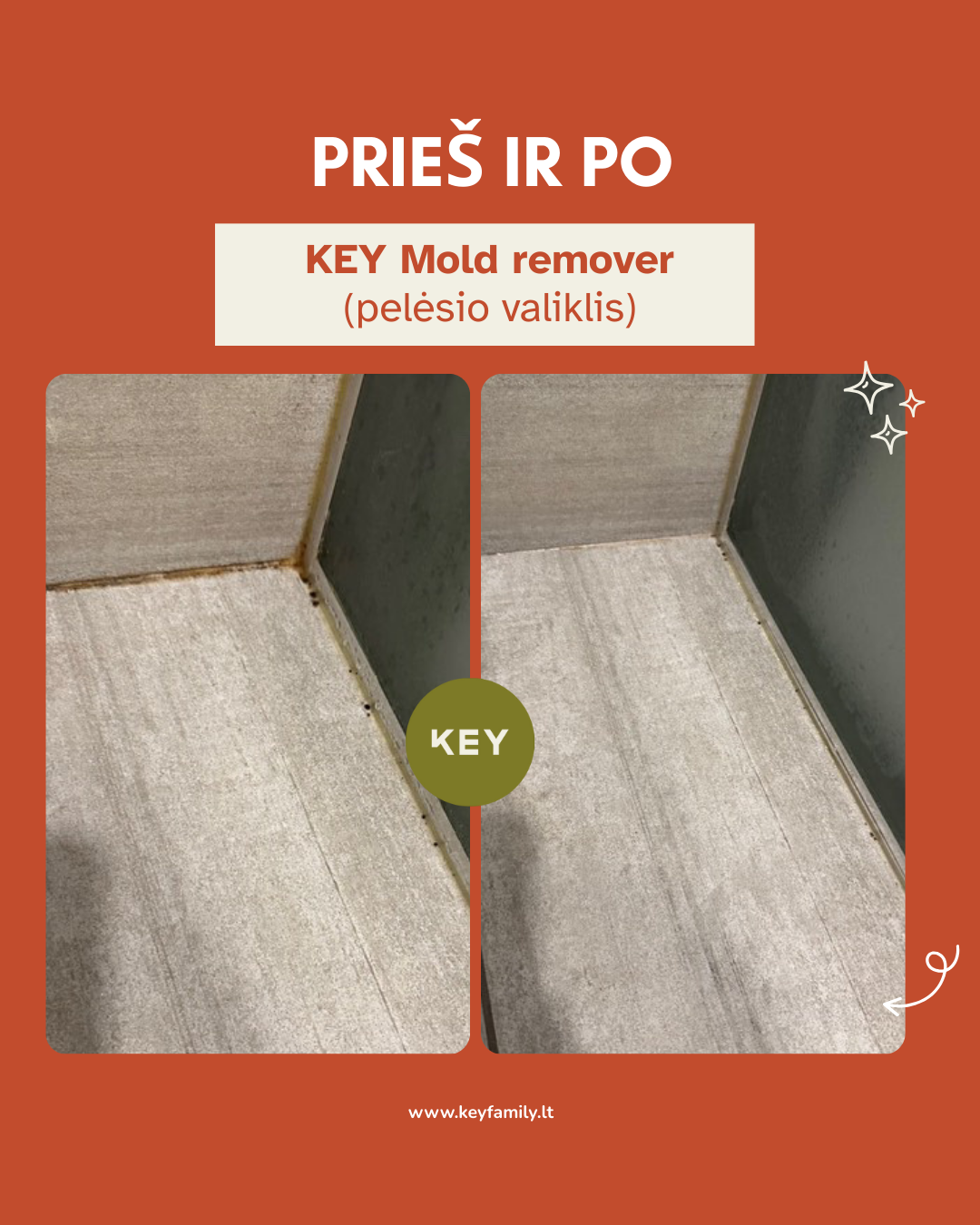 KEY Pelėsio valiklis