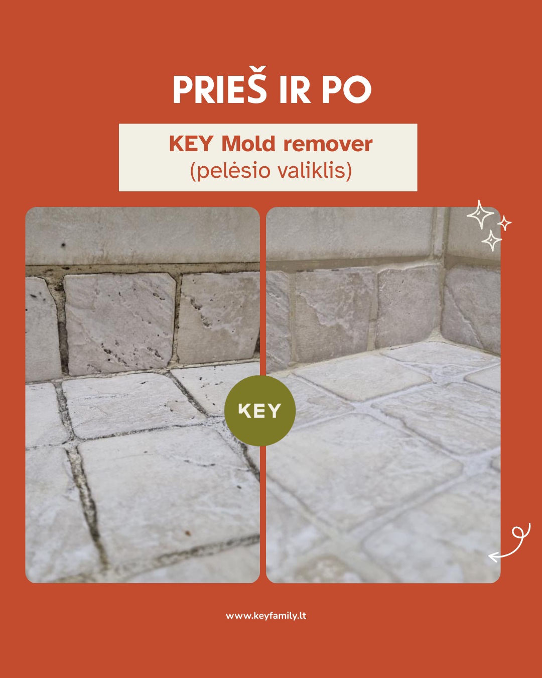 KEY Pelėsio valiklis