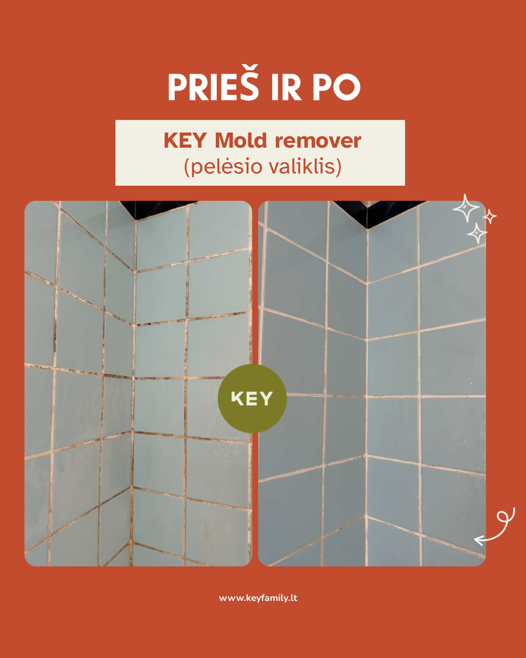 KEY Pelėsio valiklis