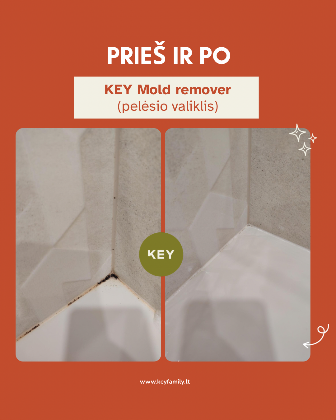 KEY Pelėsio valiklis
