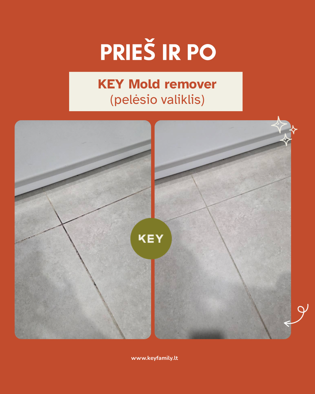 KEY Pelėsio valiklis