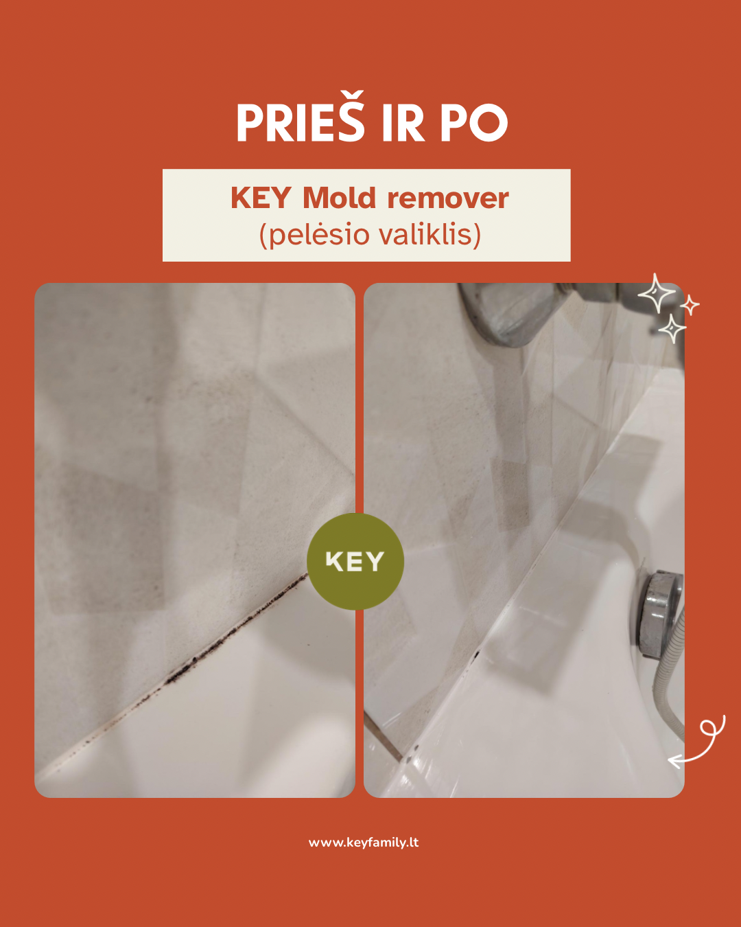 KEY Pelėsio valiklis