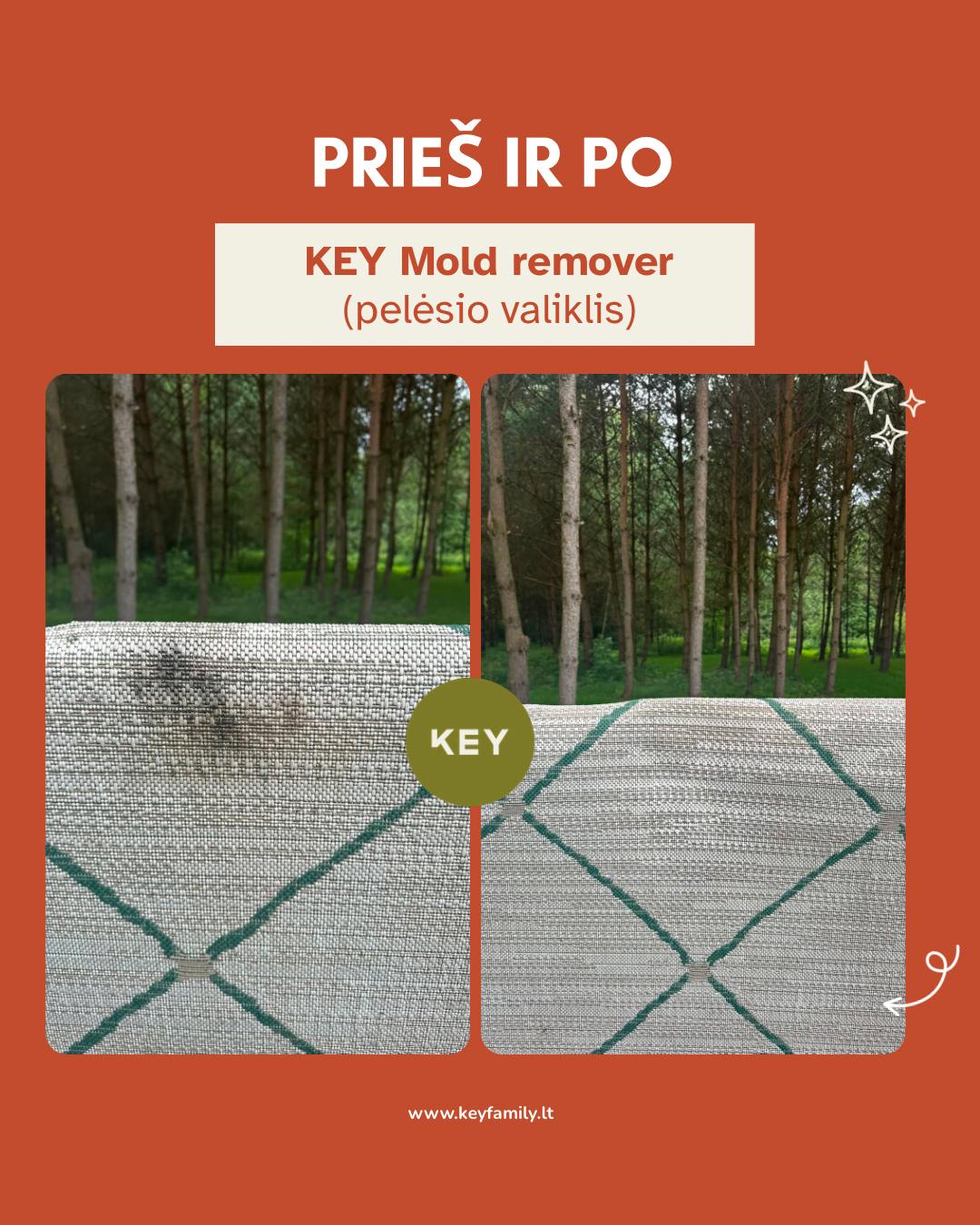 KEY Pelėsio valiklis